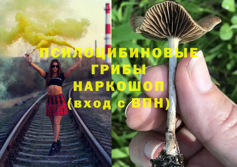 Галлюциногенные грибы Magic Shrooms  Семилуки 